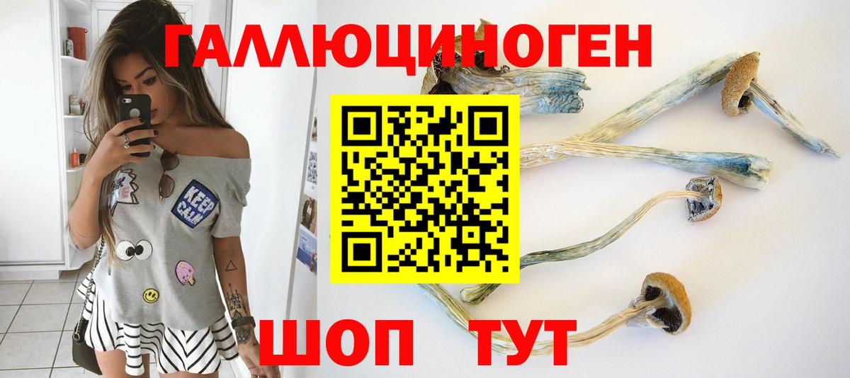 Псилоцибиновые грибы Magic Shrooms Братск